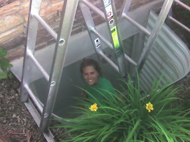 Window cleaning in Salt Lake City