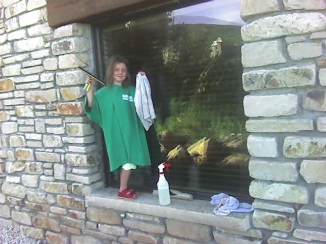 Window cleaning in Park City